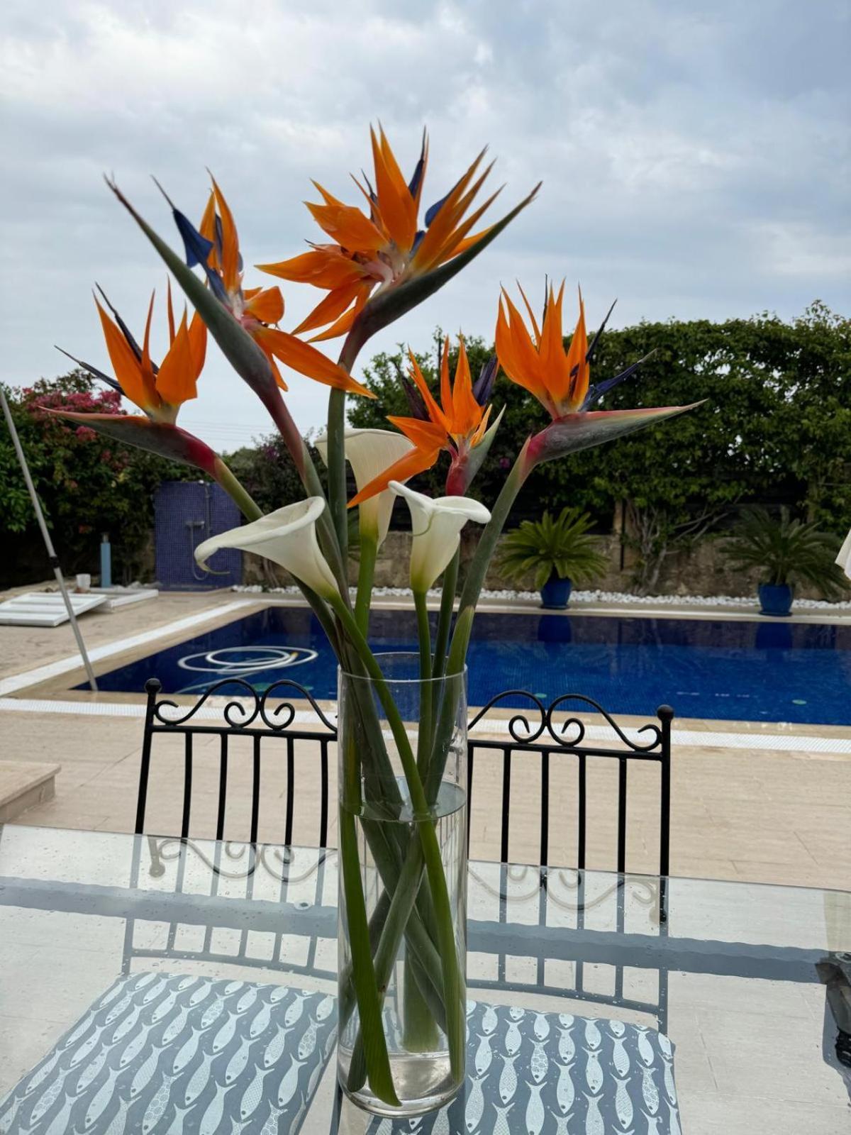 Willa Casa Santos Kyrenia Kirenia Zewnętrze zdjęcie
